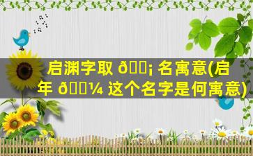 启渊字取 🐡 名寓意(启年 🐼 这个名字是何寓意)